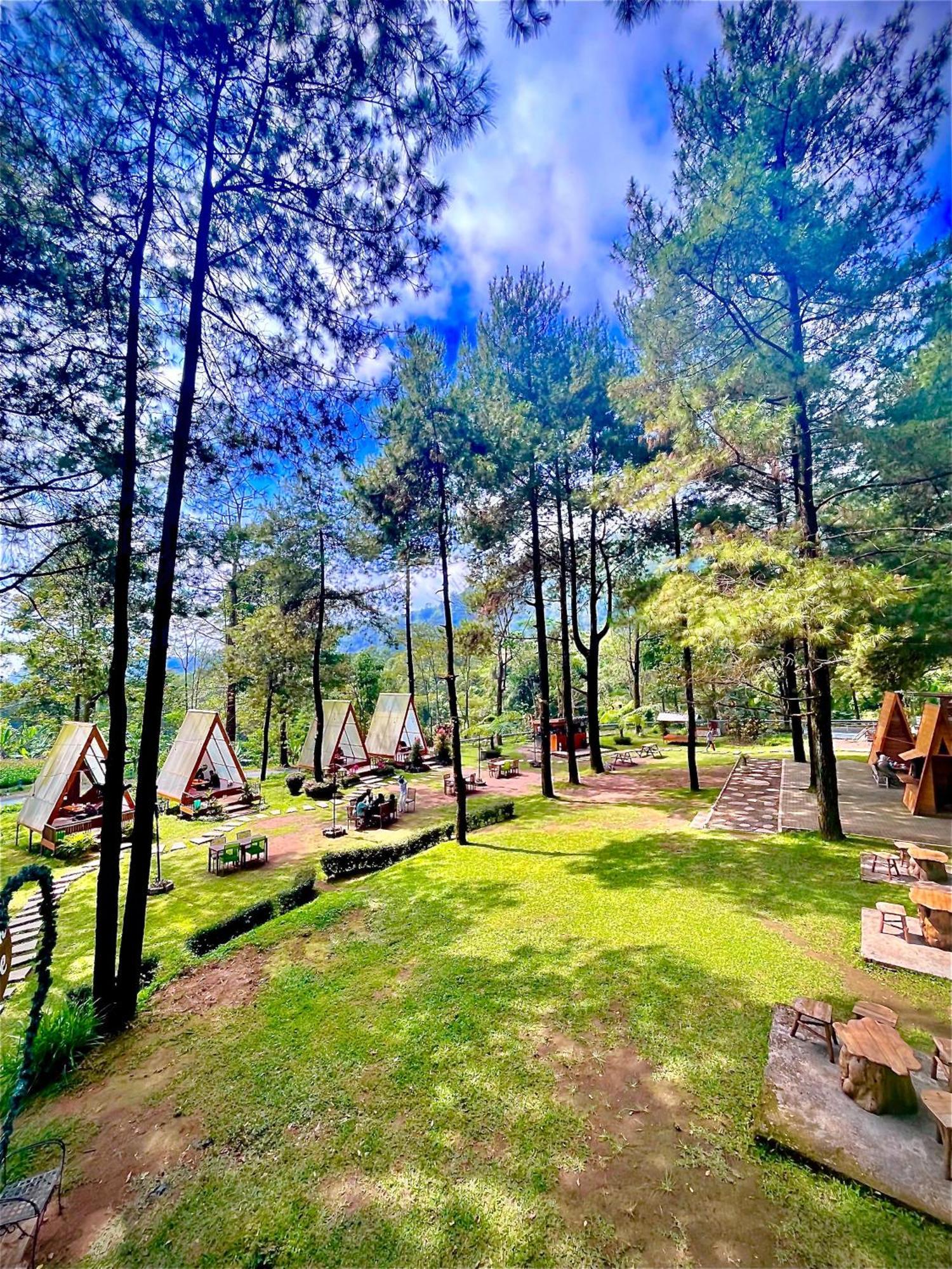 Grand Whiz Hotel 브로모 외부 사진
